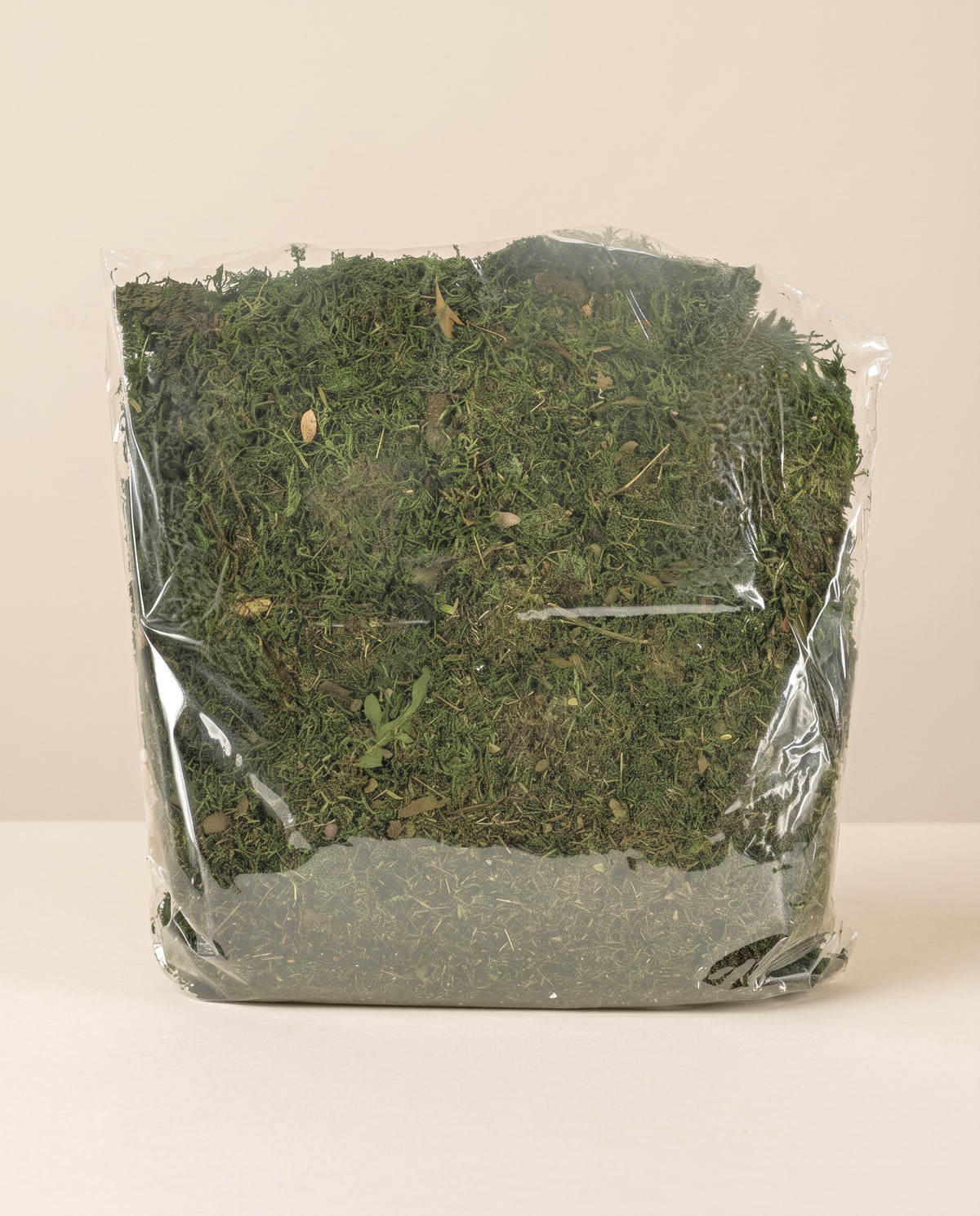 Bolsa de musgo Belén preservado verde, tal como se entrega.