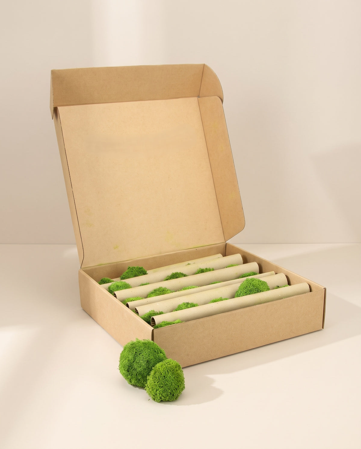 Caixa de musgo Bola Mini preservado verde, tal como é entregue.