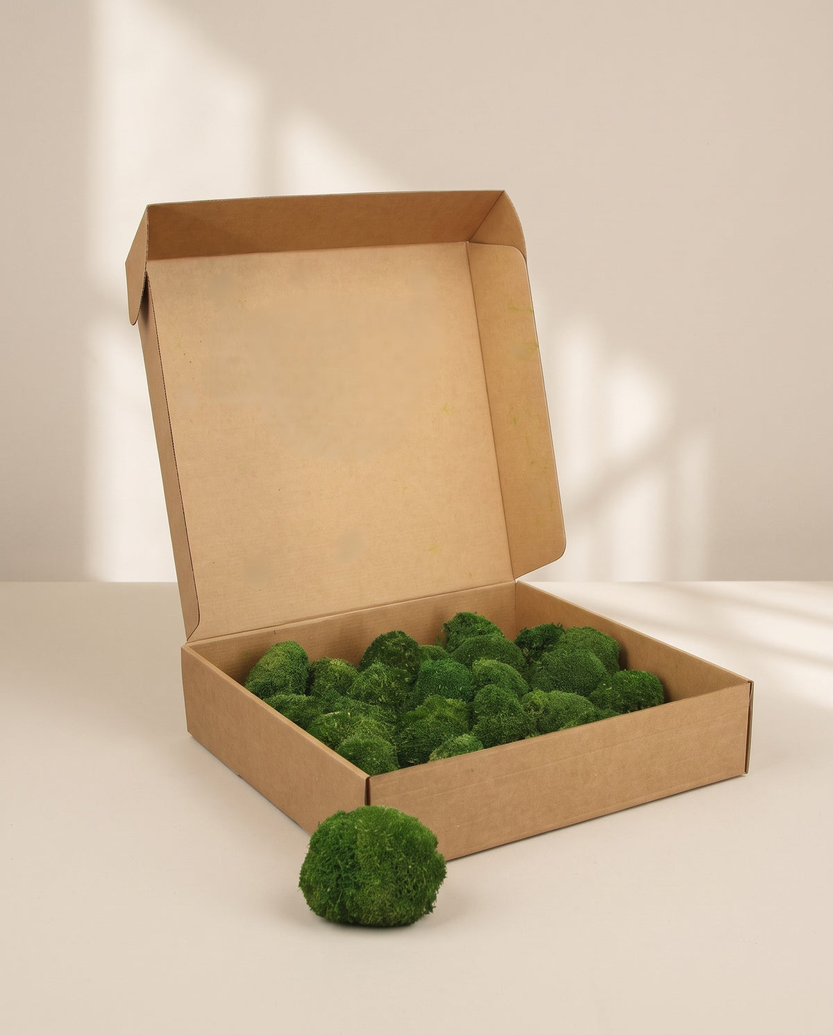 Caixa de musgo Bola Mini preservado verde-escuro, tal como é entregue.