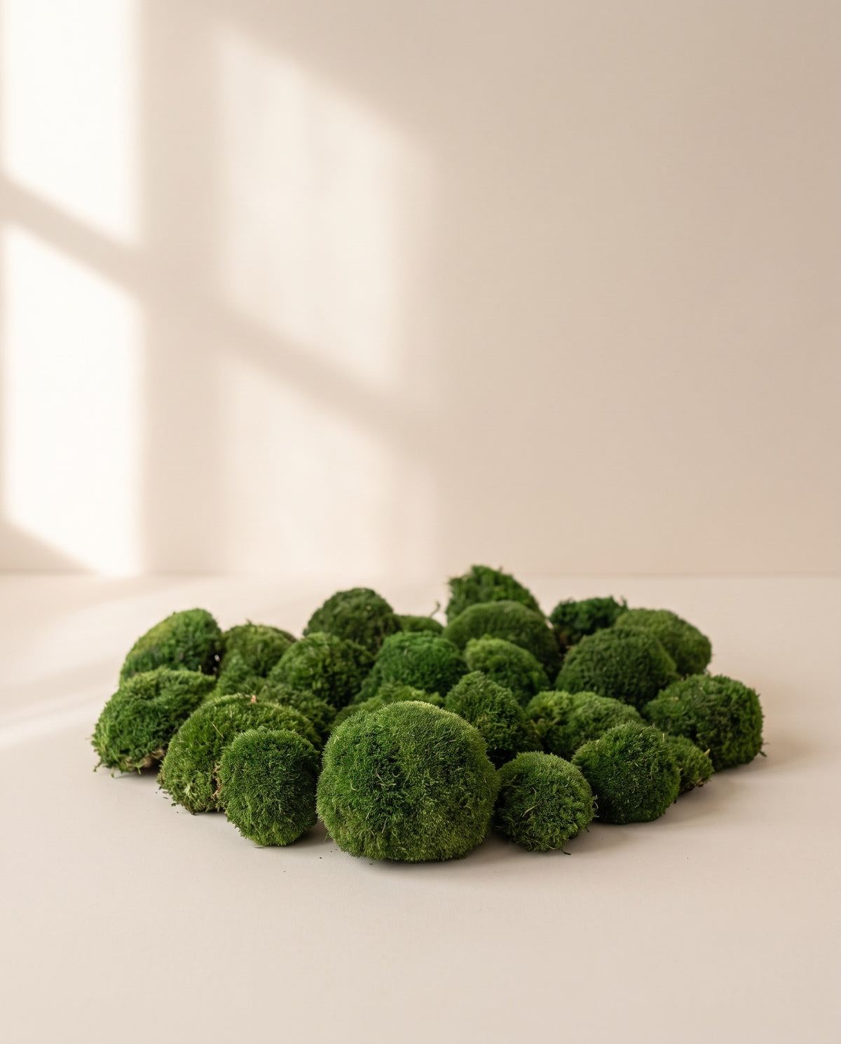 Musgo Bola Mini preservado verde oscuro, visto desde arriba sobre fondo crema.