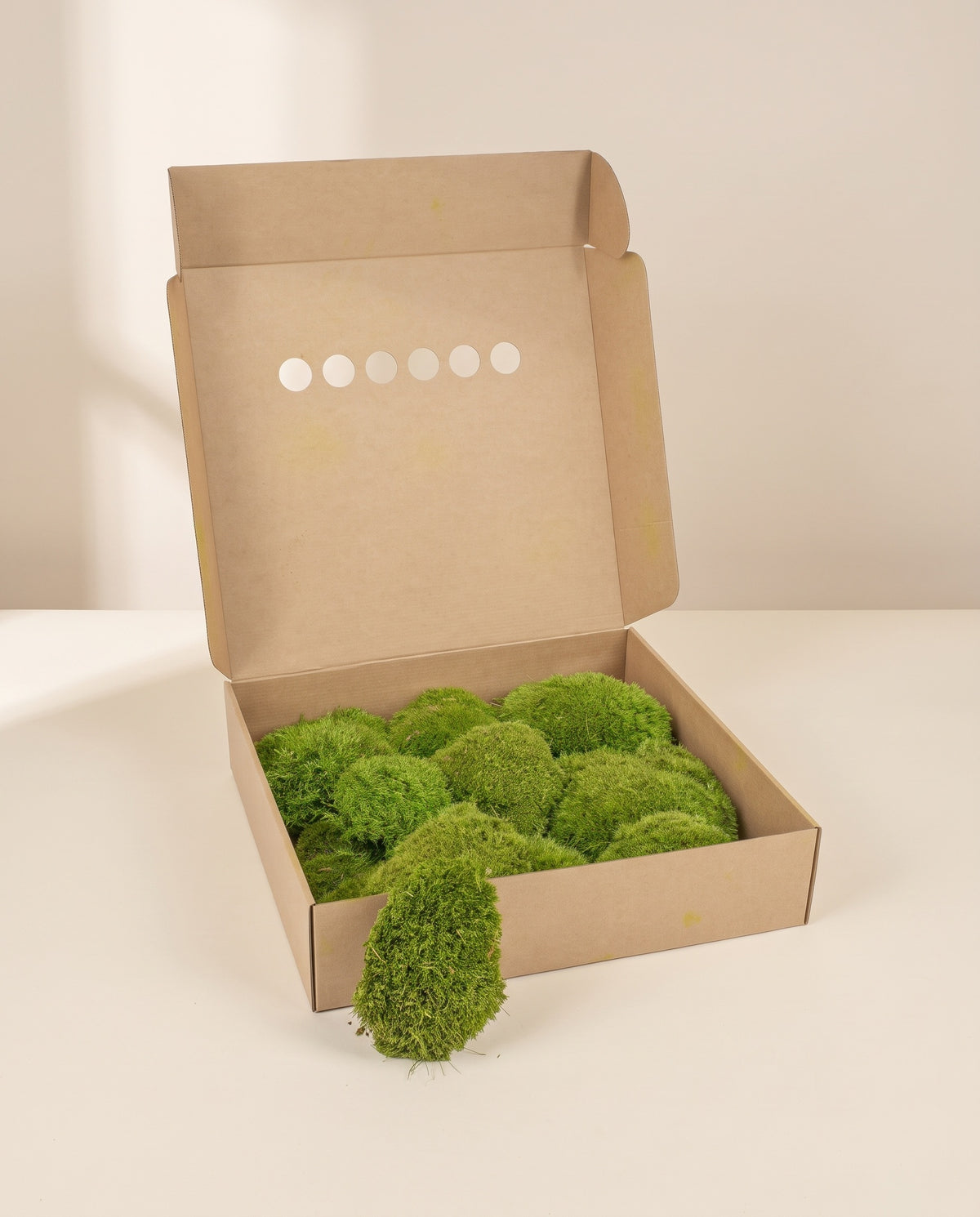 Caja de musgo Bola preservado verde, tal como se entrega.