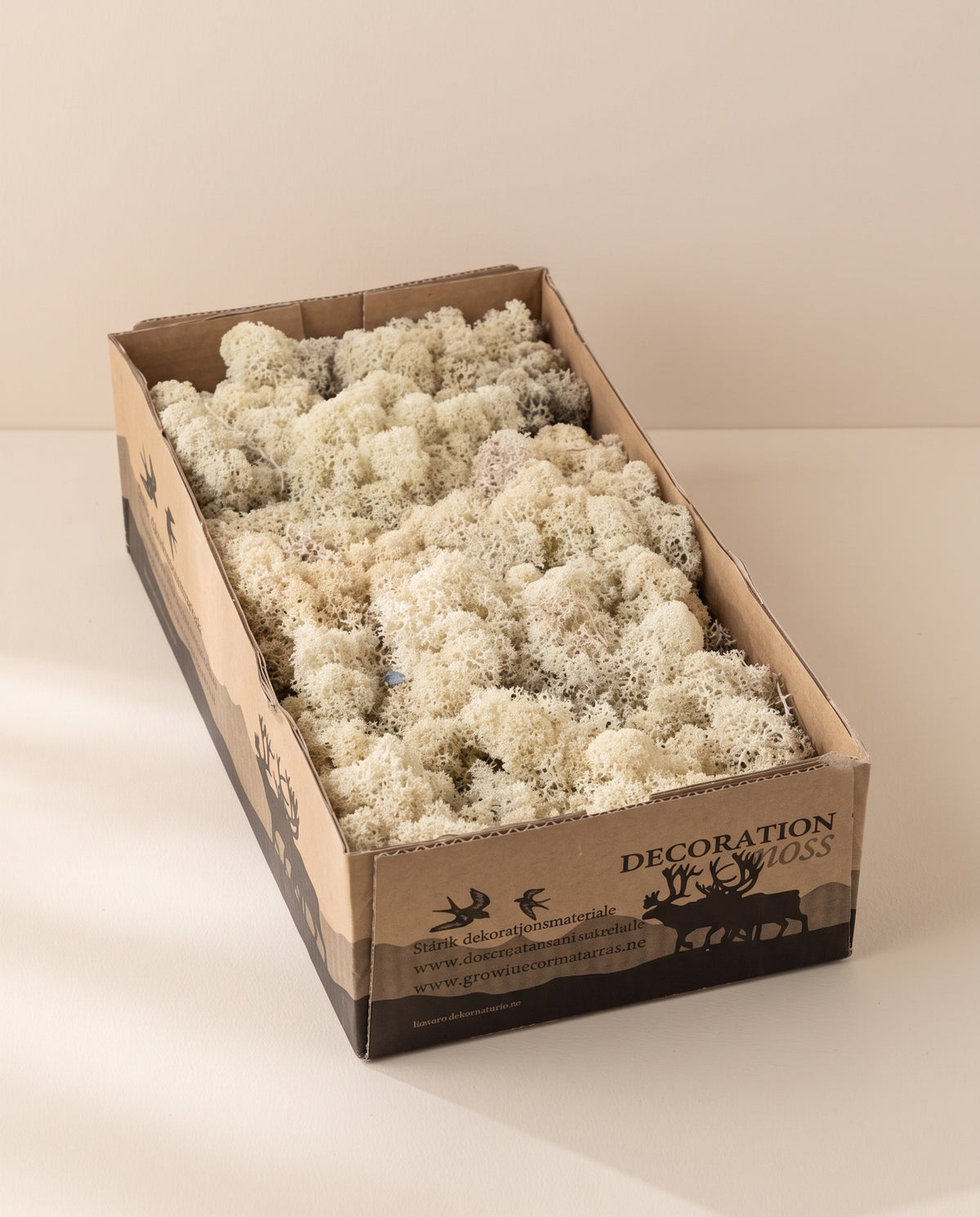 Caja de musgo finlandés preservado blanco, tal como se entrega.