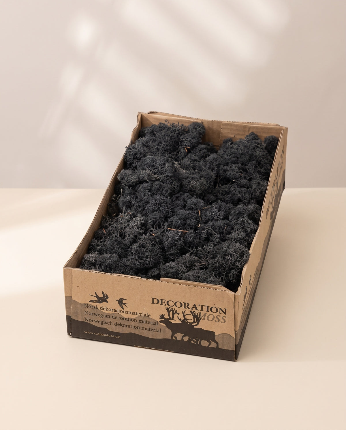 Caja de musgo finlandés preservado negro, tal como se entrega.
