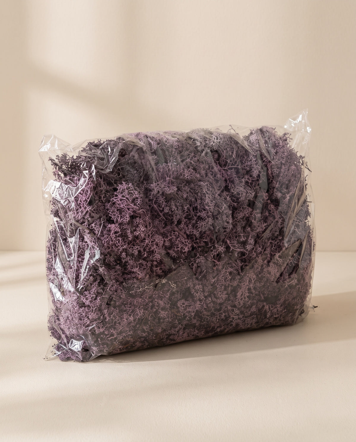 Bolsa de musgo finlandés preservado púrpura, tal como se entrega.