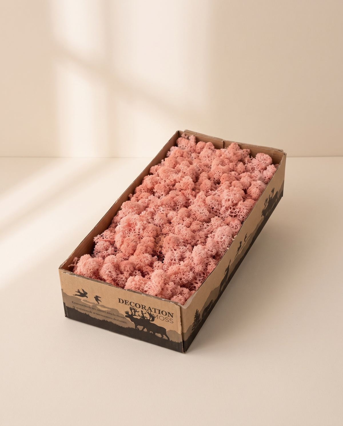 Caja de musgo finlandés preservado rosa claro, tal como se entrega.