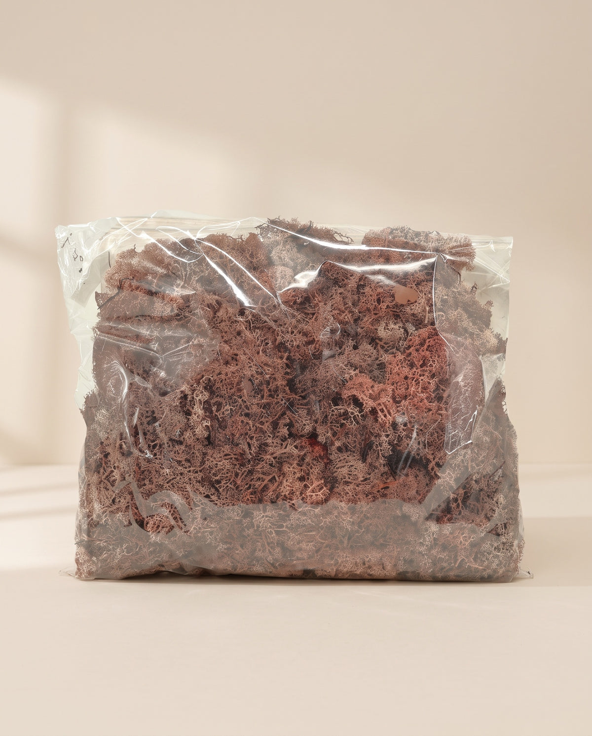 Bolsa de musgo finlandés preservado rosa empolvado, tal como se entrega.