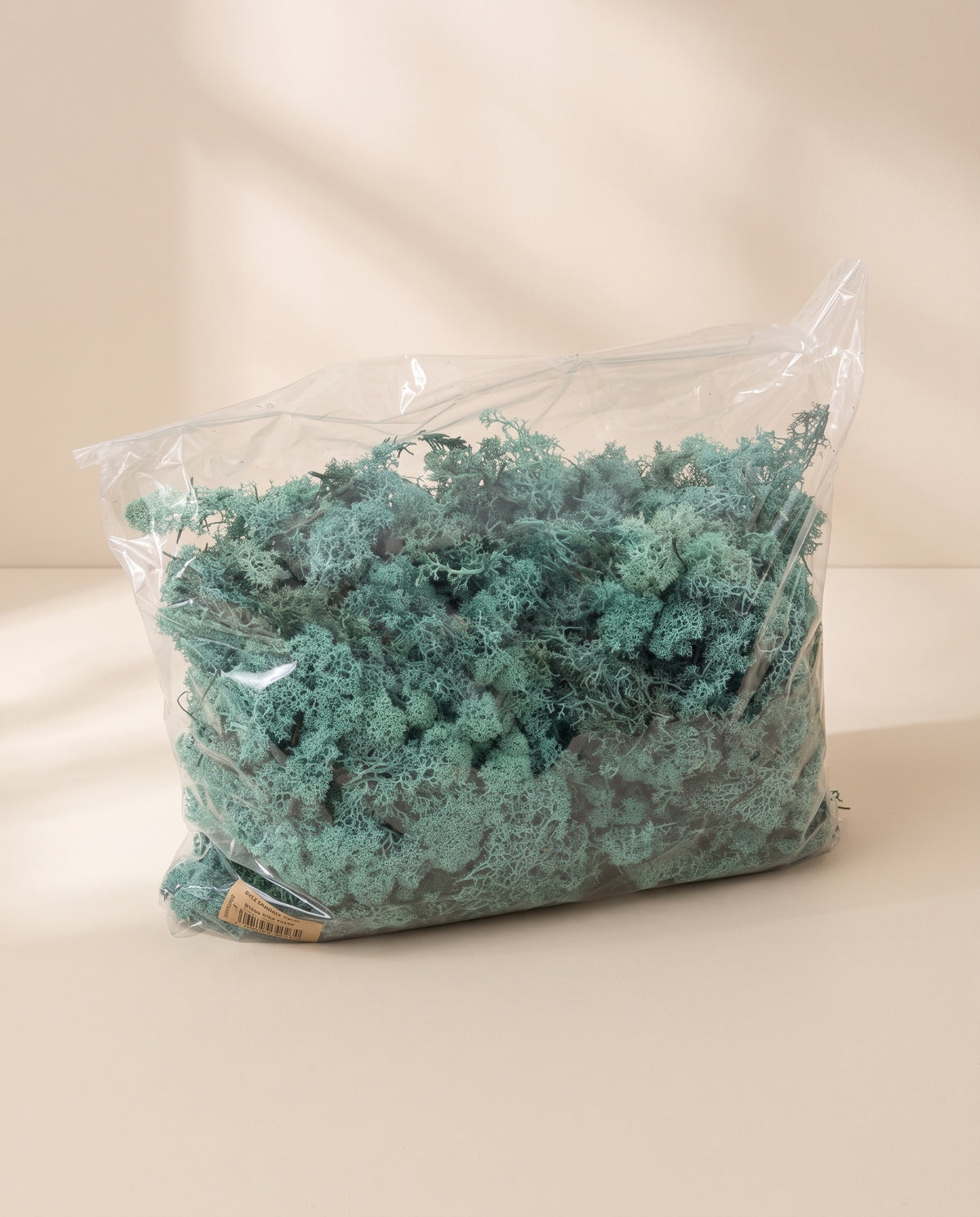 Bolsa de musgo finlandés preservado turquesa, tal como se entrega.