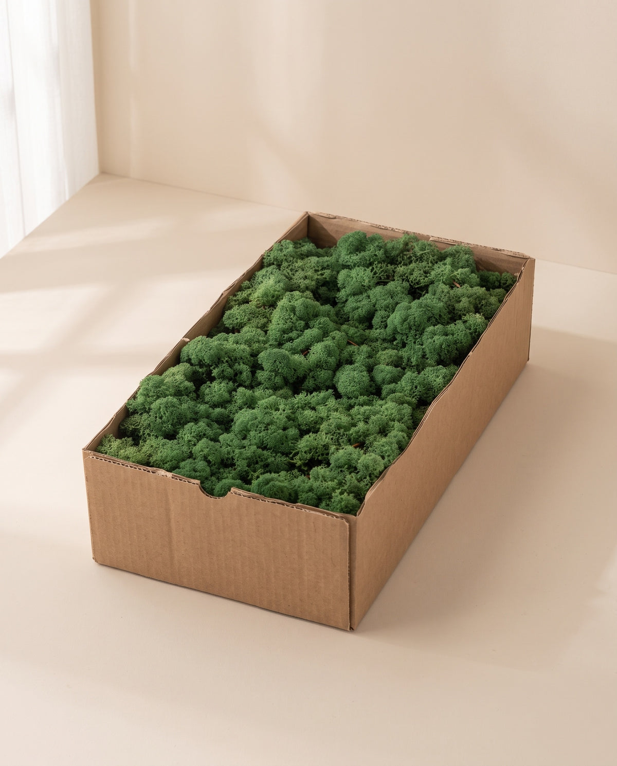 Caja de musgo finlandés preservado verde, tal como se entrega.