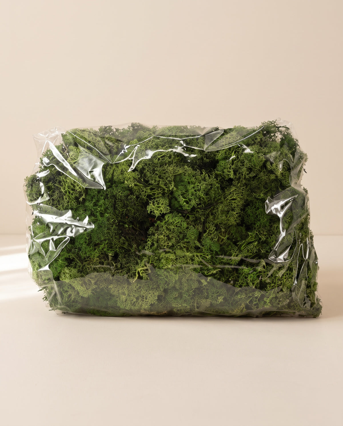 Bolsa de musgo finlandés preservado verde oscuro, tal como se entrega.