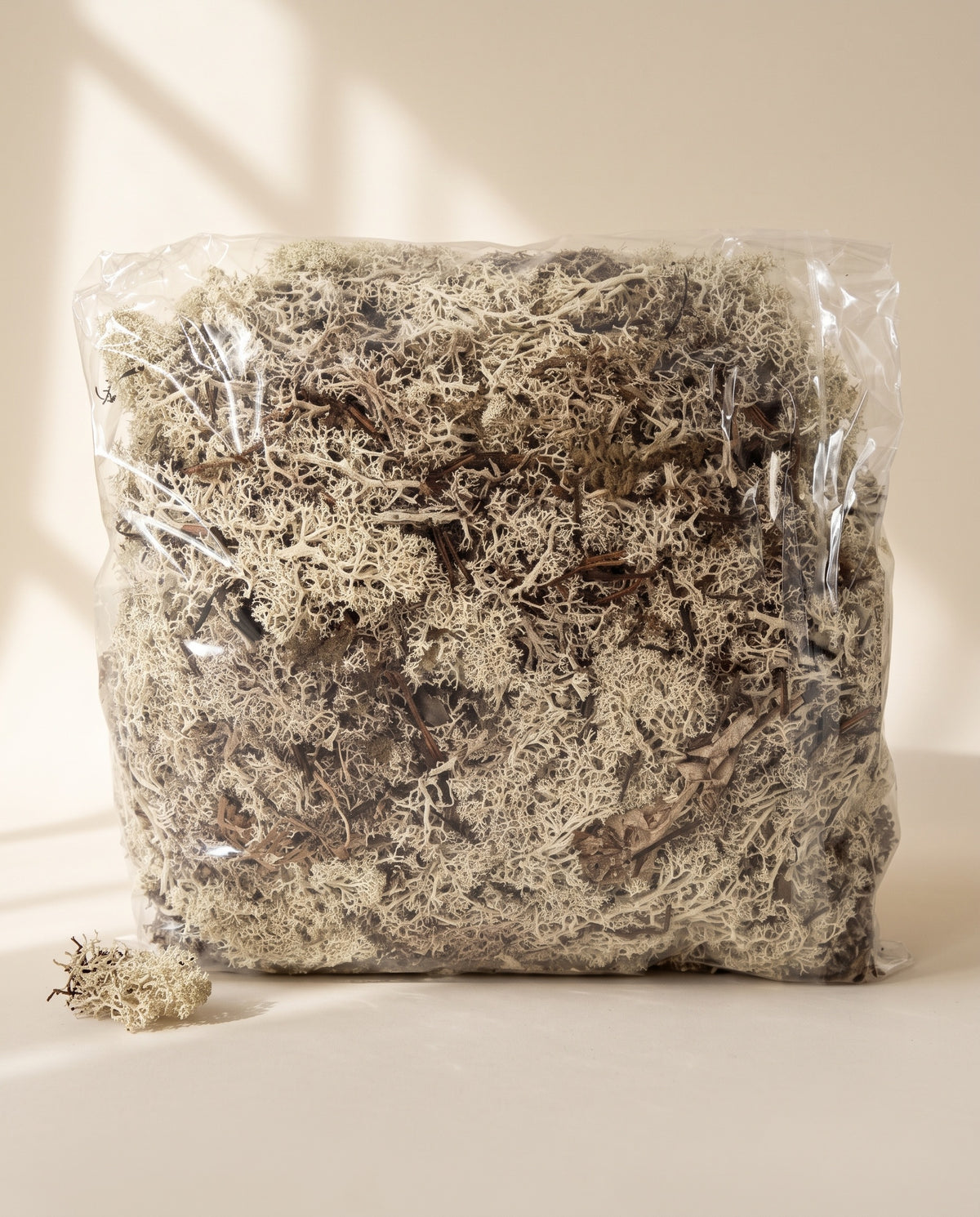 Bolsa de musgo Icelandic preservado natural, tal como se entrega.