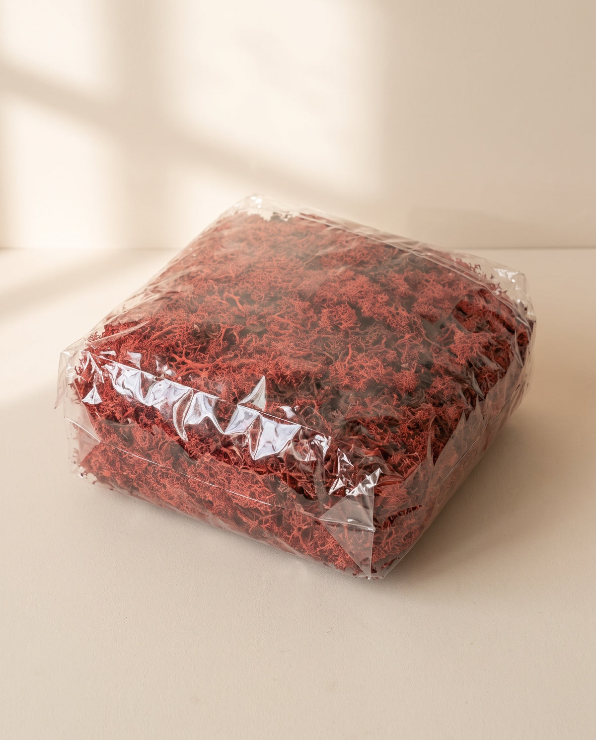 Bolsa de musgo Icelandic preservado rojo, tal como se entrega.