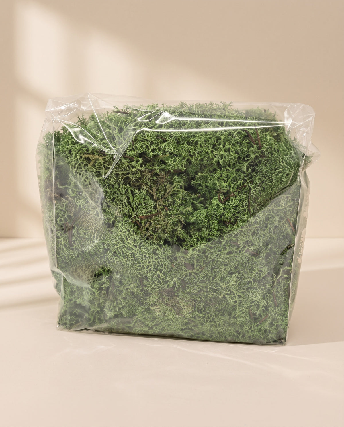 Bolsa de musgo Icelandic preservado verde, tal como se entrega.