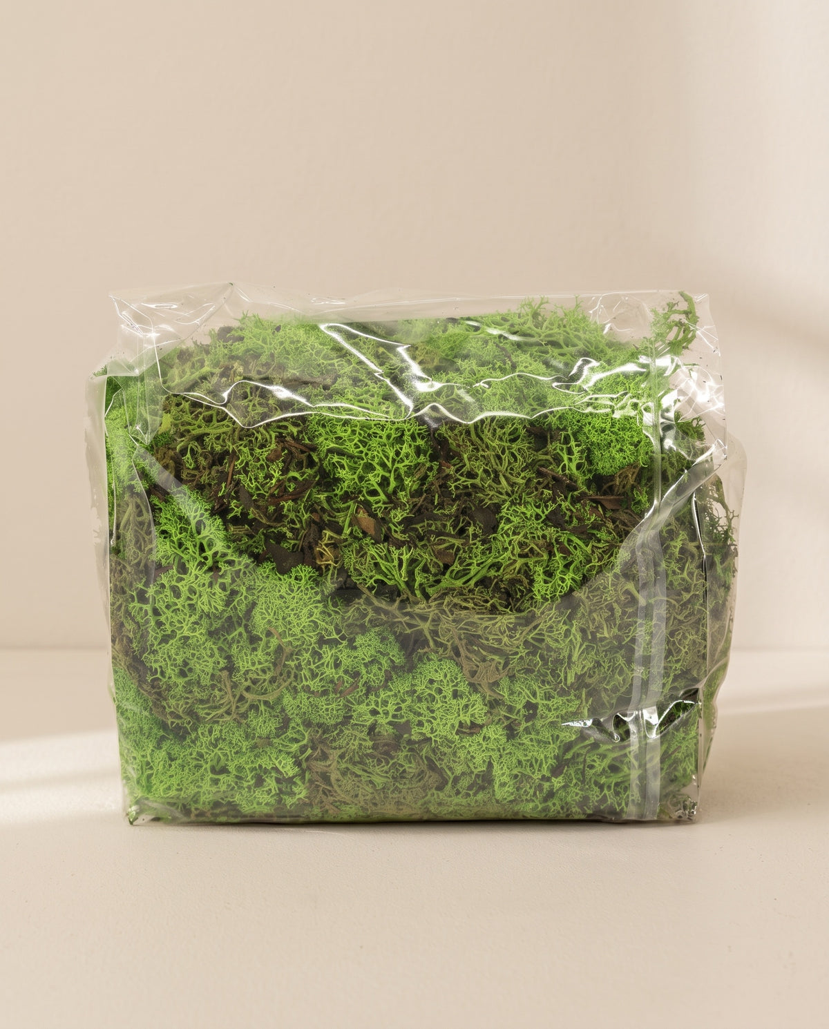 Bolsa de musgo Icelandic preservado verde pistacho, tal como se entrega.
