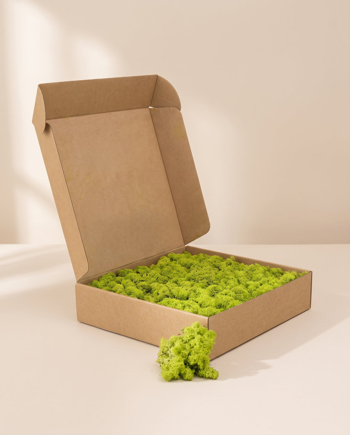 Caixa de musgo Líquen preservado verde-pistácio, tal como é entregue.