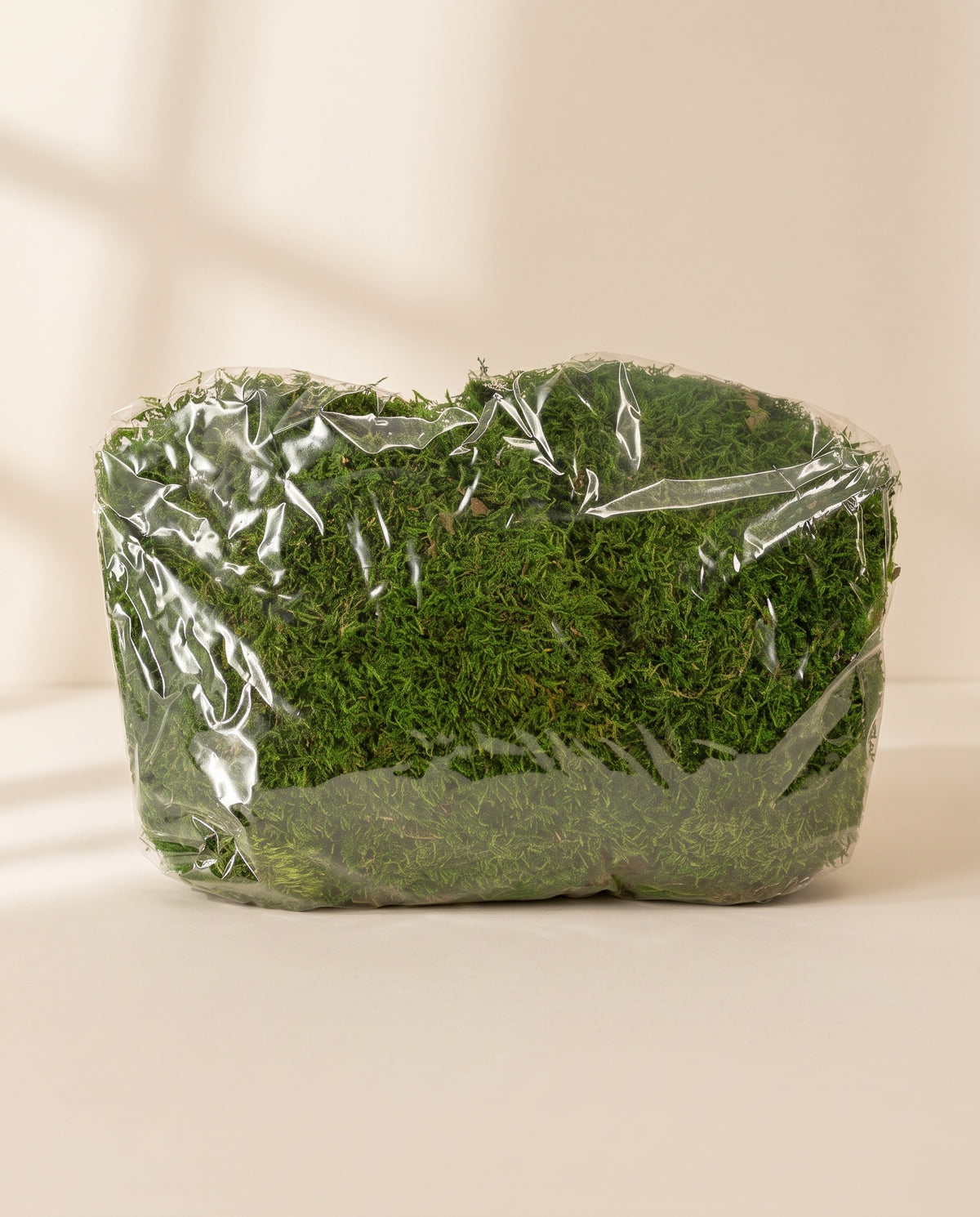 Bolsa de musgo preservado verde, tal como se entrega.