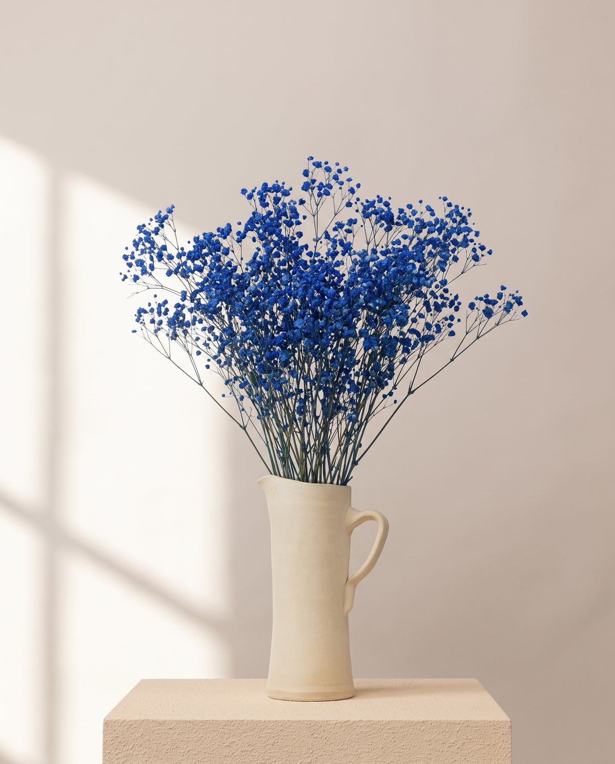 Paniculata preservada azul en una jarra de cerámica crema. Jarra no incluida.