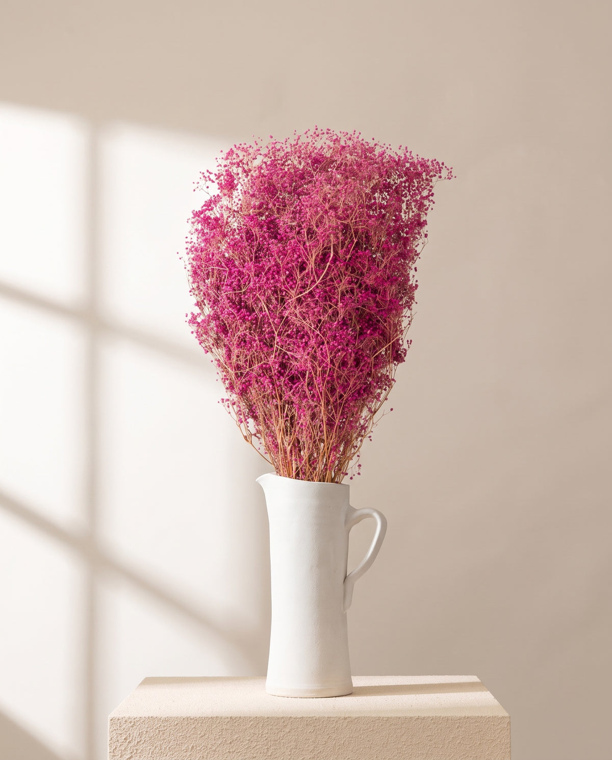 Paniculata preservada fucsia en una jarra de cerámica crema. Jarra no incluida.