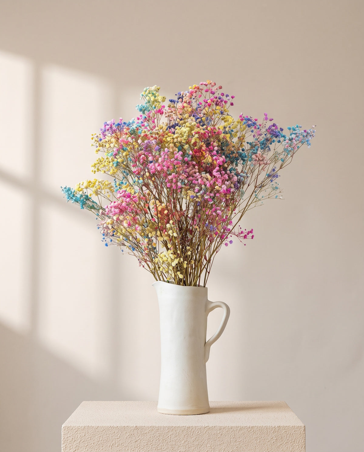 Paniculata preservada multicolor en una jarra de cerámica crema. Jarra no incluida.