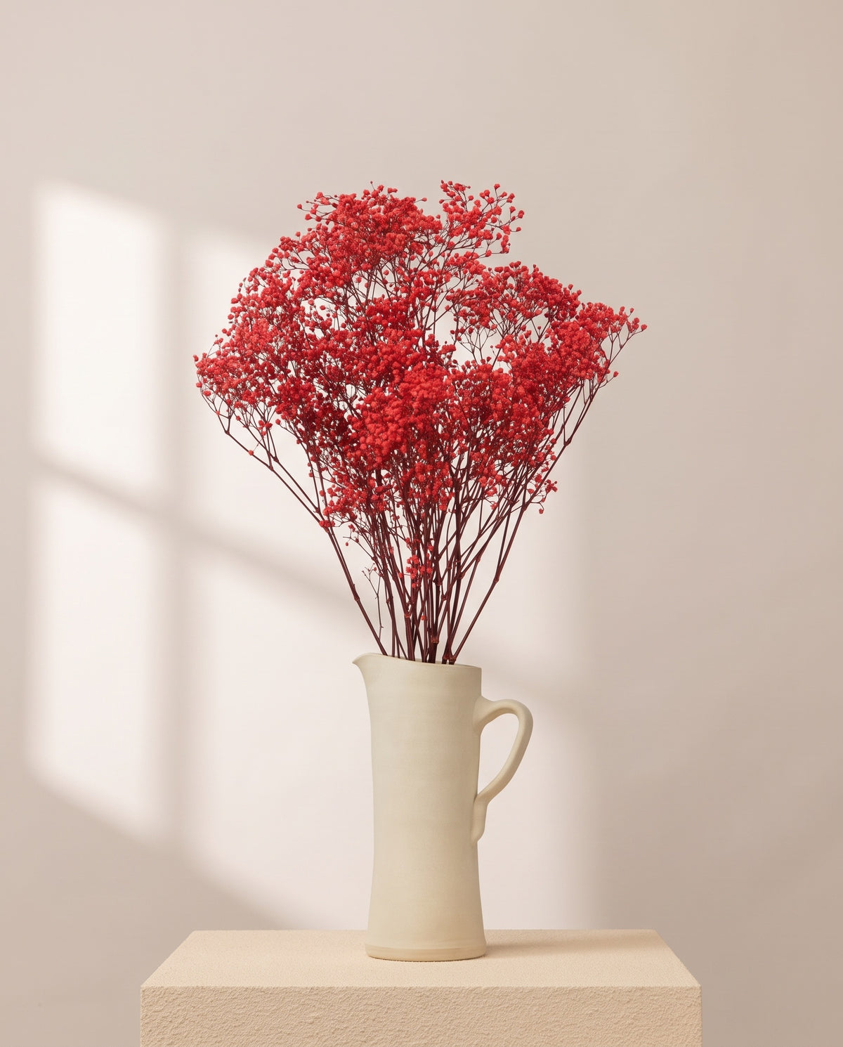 Paniculata preservada roja en una jarra de cerámica crema. Jarra no incluida.