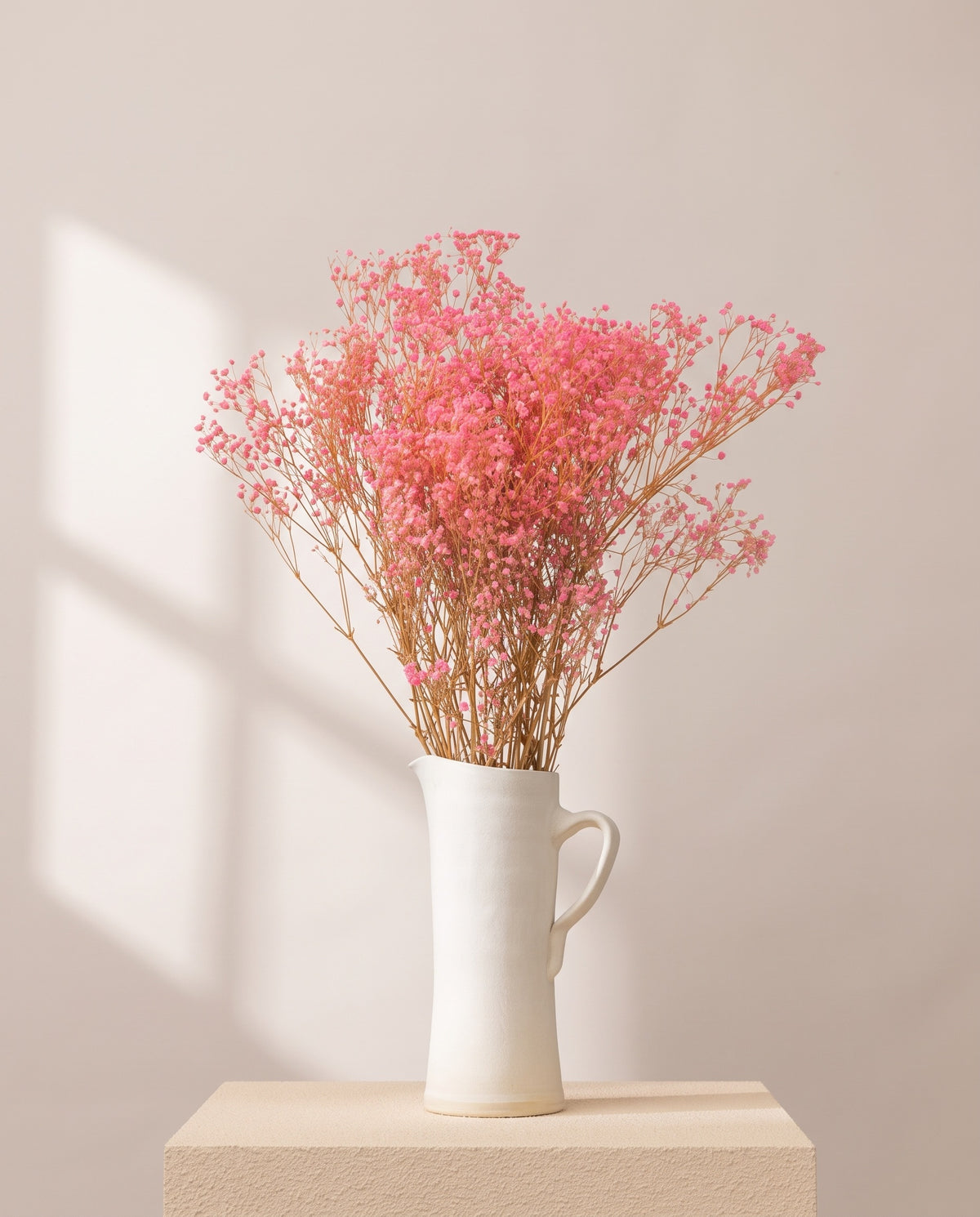 Paniculata preservada rosa en una jarra de cerámica crema. Jarra no incluida.