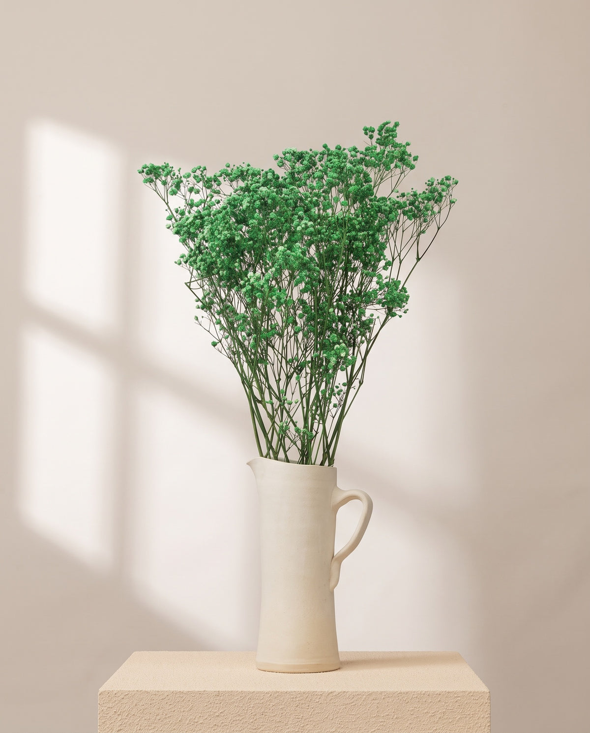 Paniculata preservada verde en una jarra de cerámica crema. Jarra no incluida.