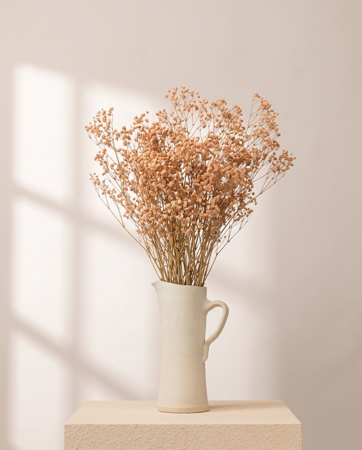 Paniculata Xlence preservada café en una jarra de cerámica crema. Jarra no incluida.