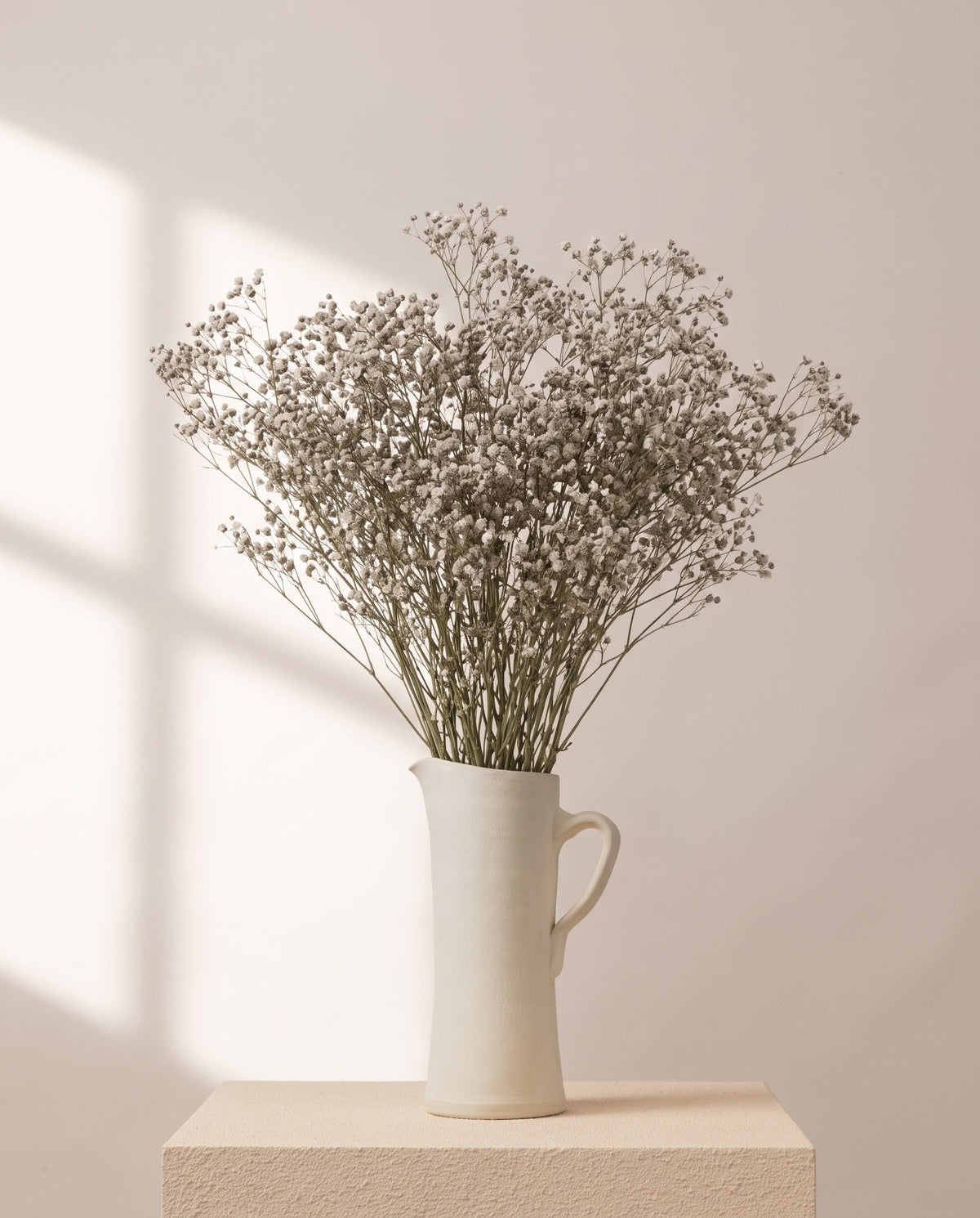 Paniculata Xlence preservada gris en una jarra de cerámica crema. Jarra no incluida.