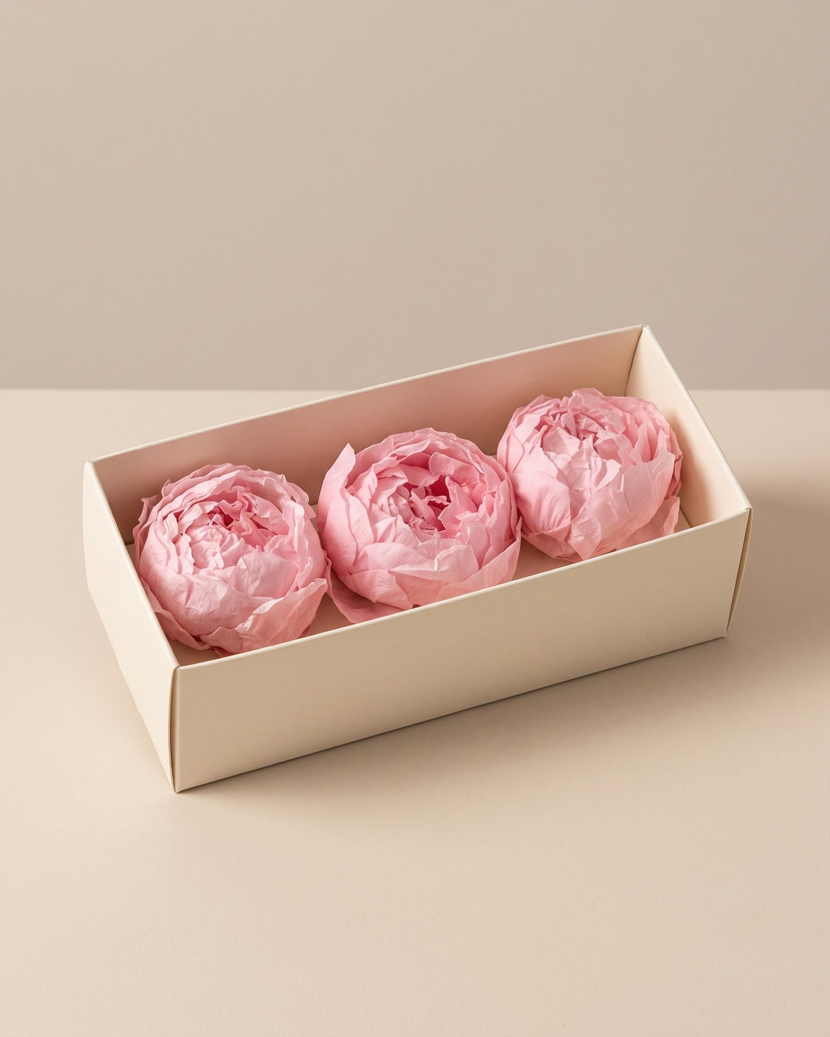 Peónias preservadas rosa, cabeças numa caixa aberta