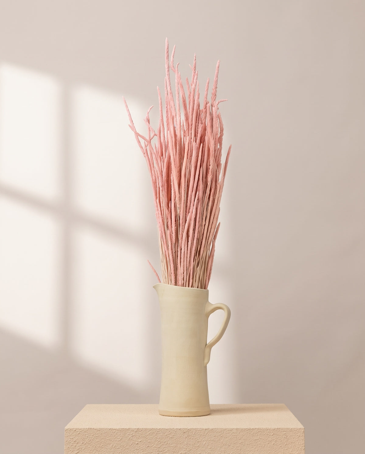 Phleum seco rosa en una jarra de cerámica crema. Jarra no incluida.