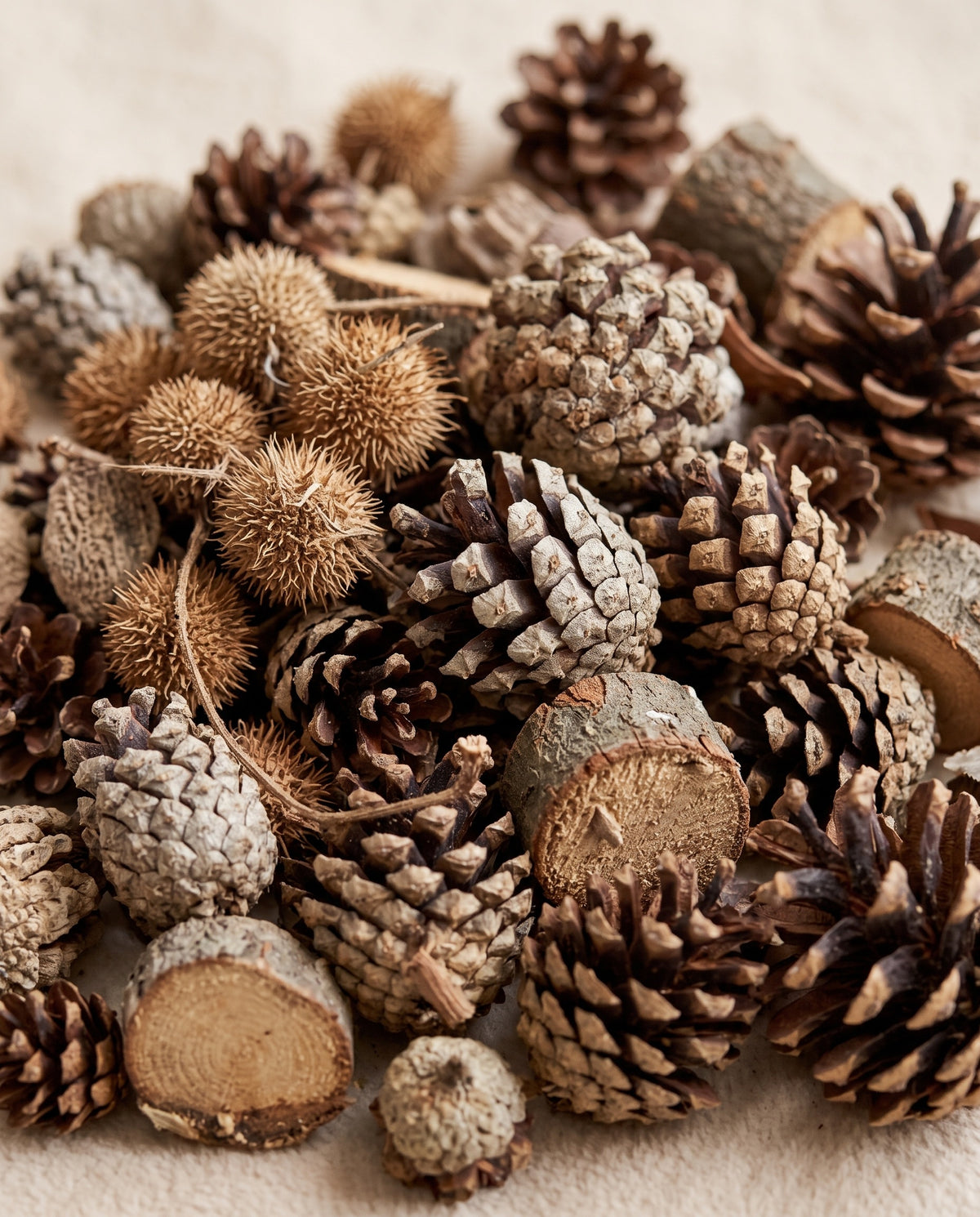 Pormenor de perto: pot-pourri seco de pinhas e frutos.