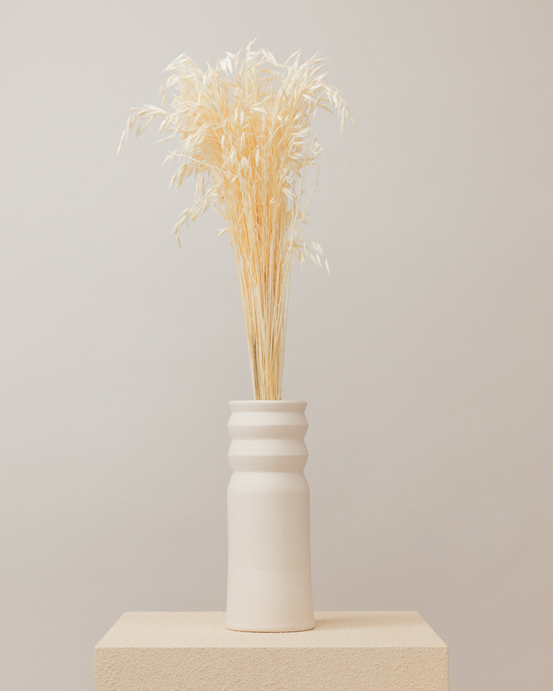 Avena seca blanca (mazo)