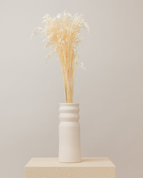 Avena seca blanca (mazo)