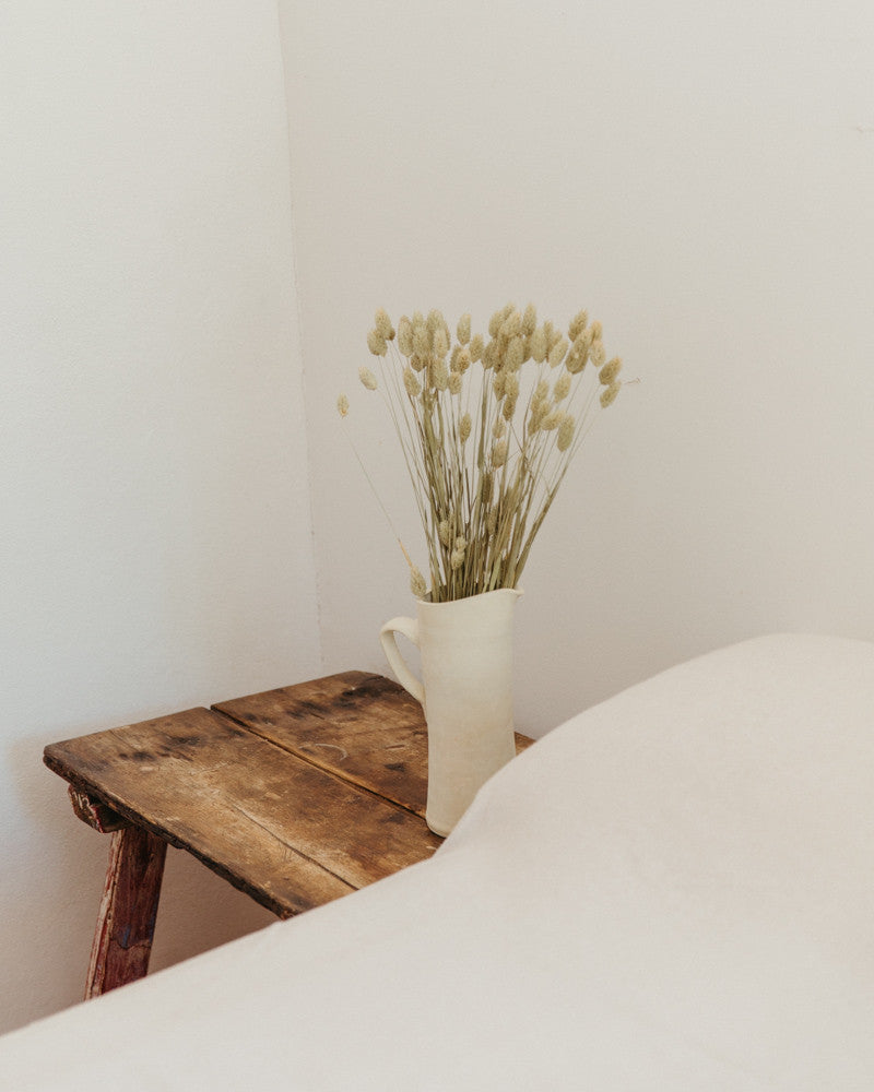 Phalaris seco natural premium