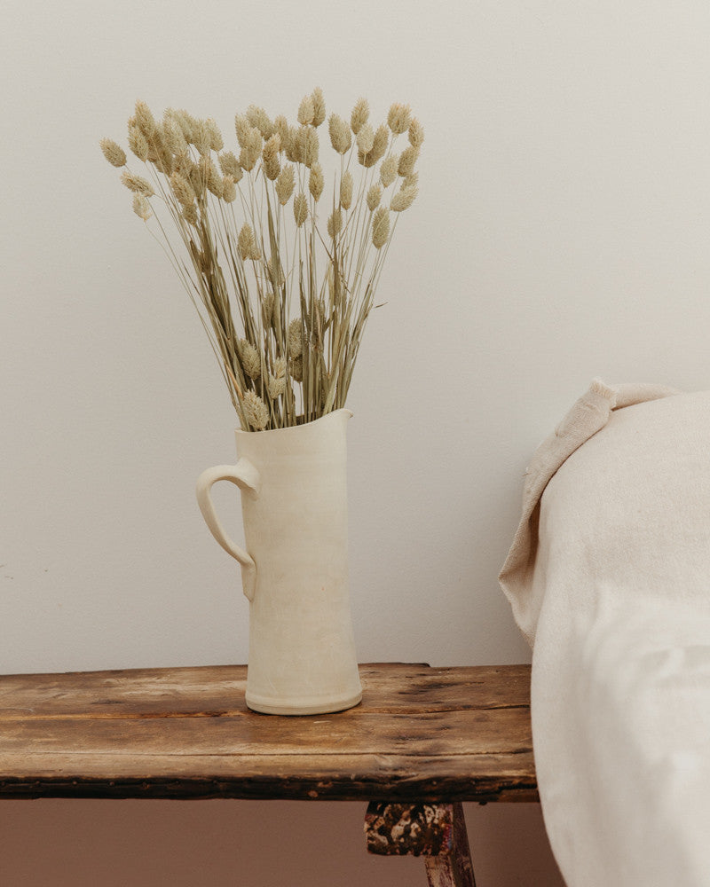 Phalaris seco natural premium