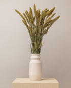Setaria seca verde natural (mazo)