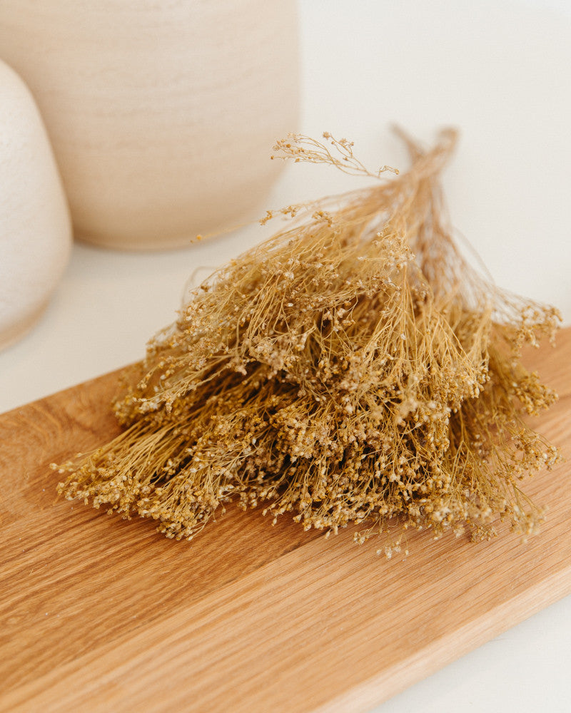 Broom bloom seco natural Premium