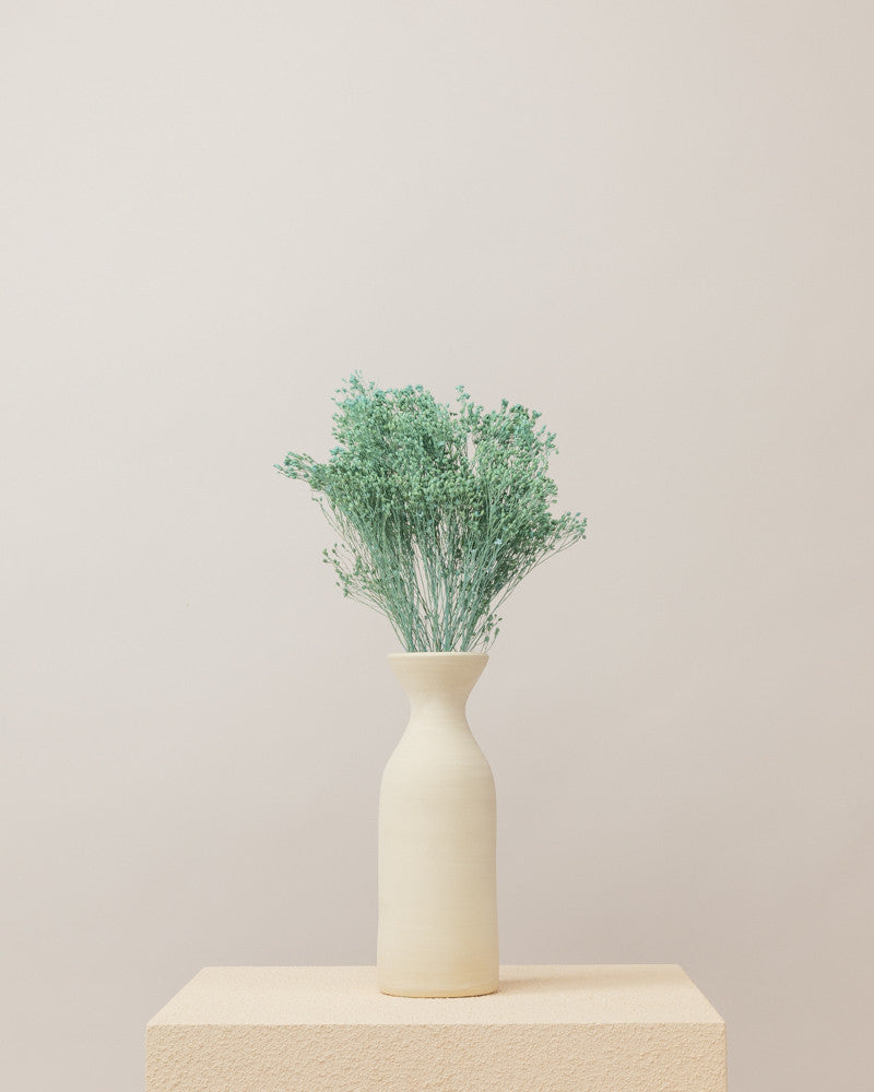 Broom bloom seco Azul Misty Premium