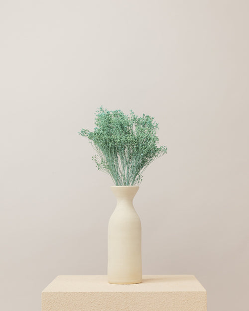Broom bloom seco Azul Misty Premium