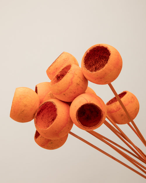Bell cup naranja
