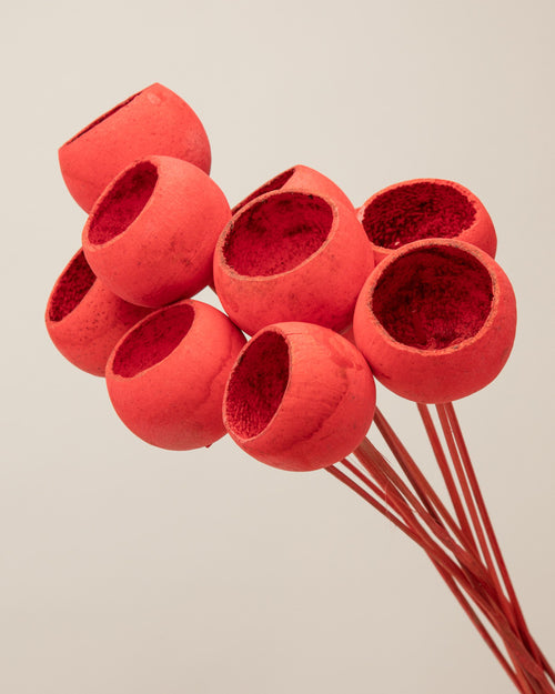 Bell cup roja