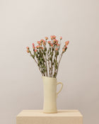 Rosas secas pitimini rosa natural Premium