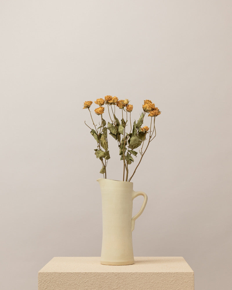 Rosas secas pitimini blanco natural Premium