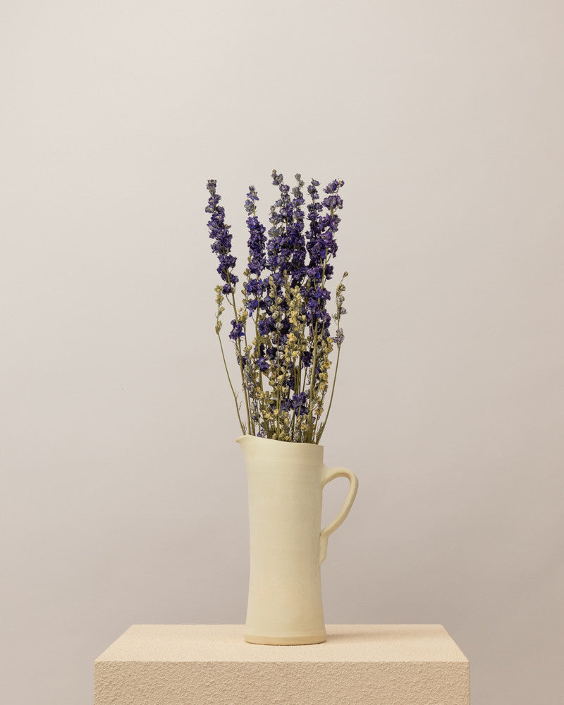 Delphinium seco azul natural Premium