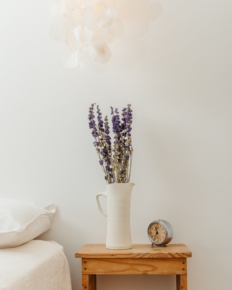 Delphinium seco azul natural Premium
