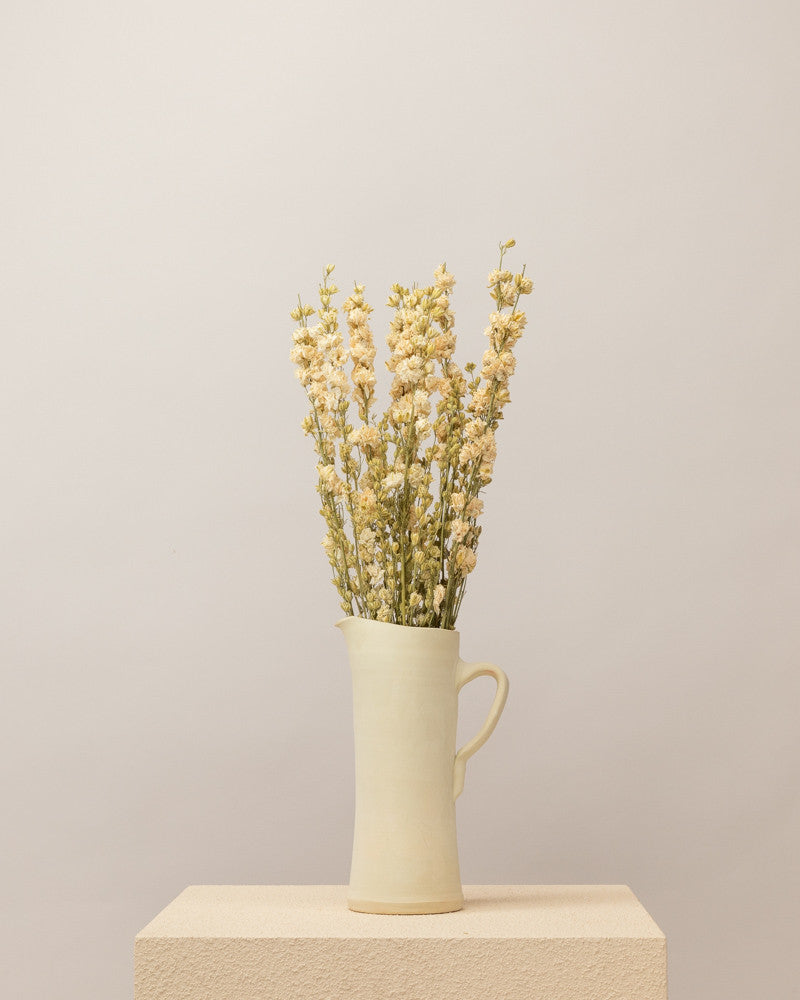 Delphinium seco