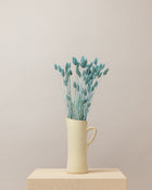 Phalaris seco azul  Premium