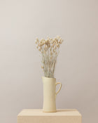 Phalaris seco blanco  Premium