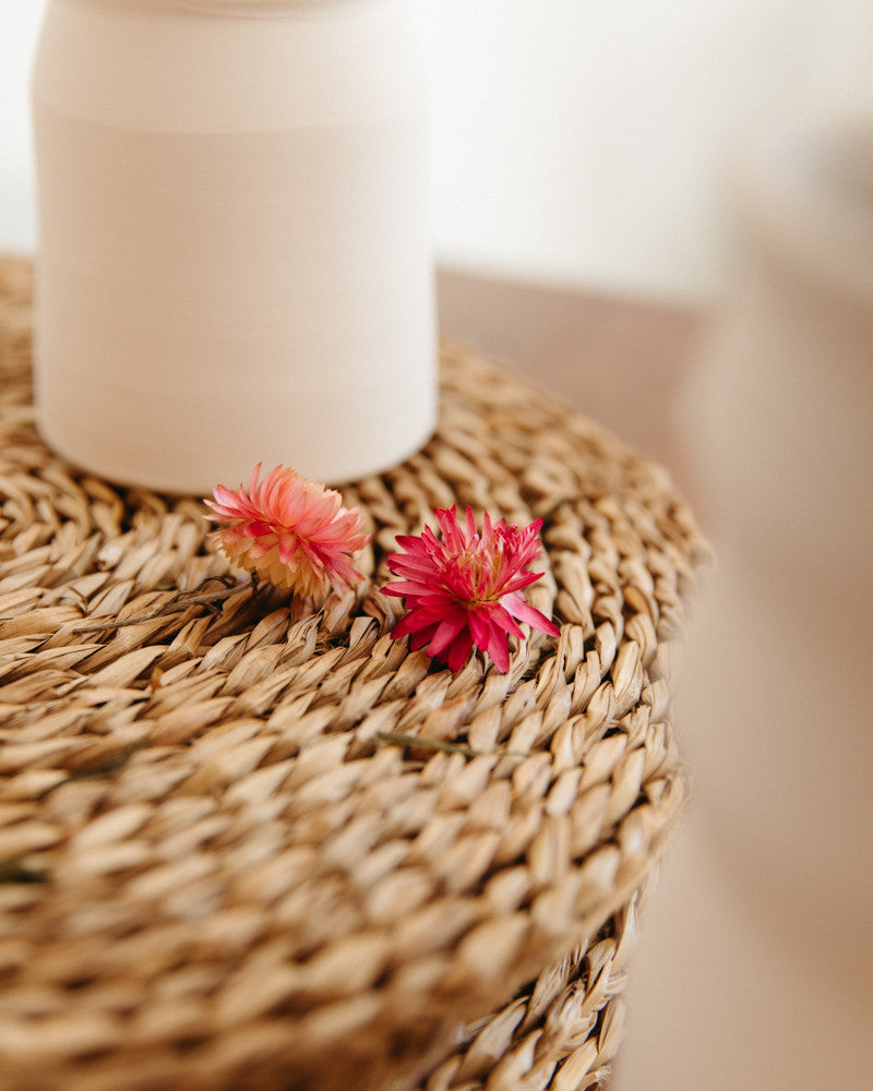 Helichrysum seco rosa natural Premium