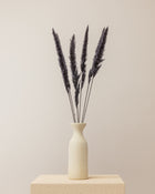 Pampa jaxx nature negro natural 65/75cm - 6pc