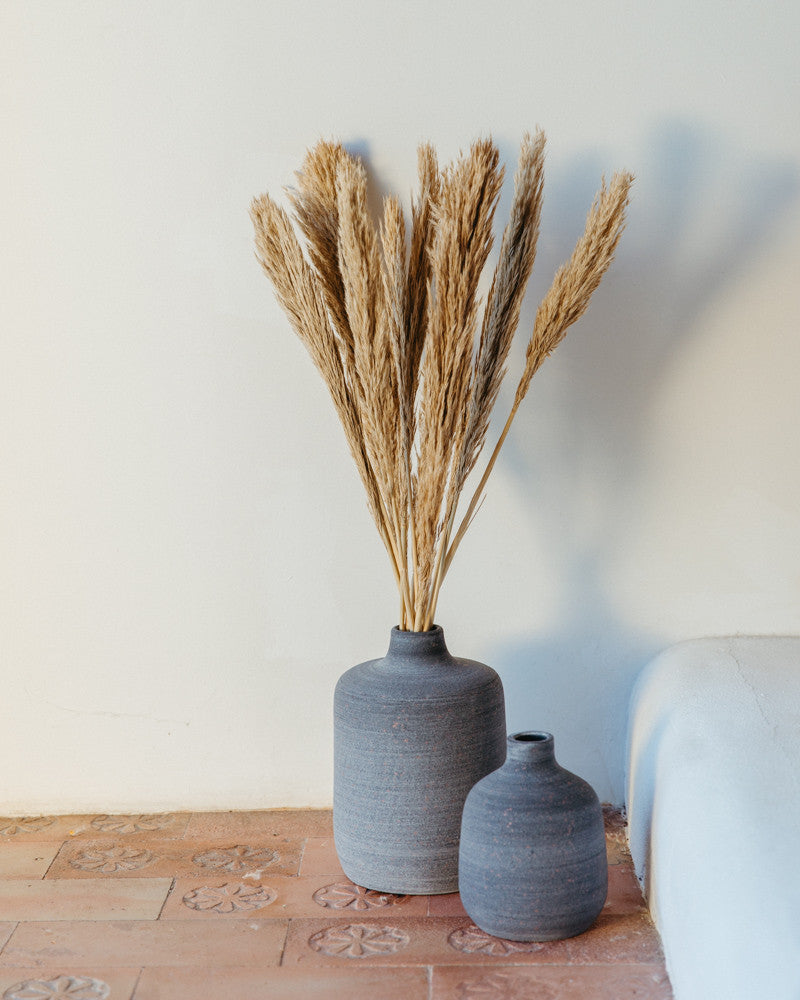 Plumero de pampa grass lenn 75cm - 10pc